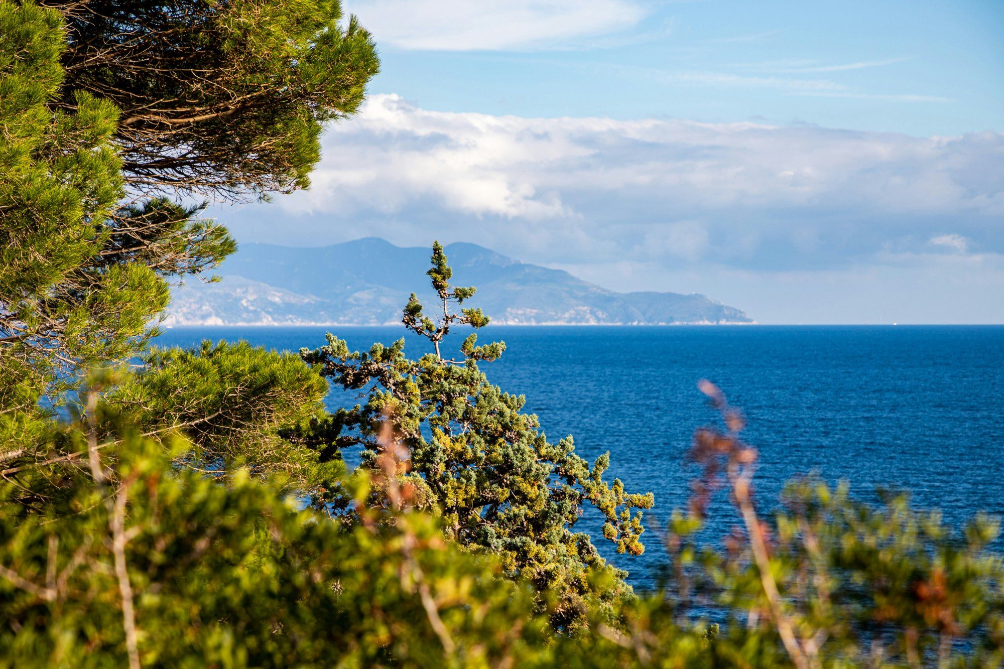 Isola del Giglio